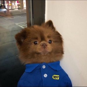 Meet your Posher, Jose